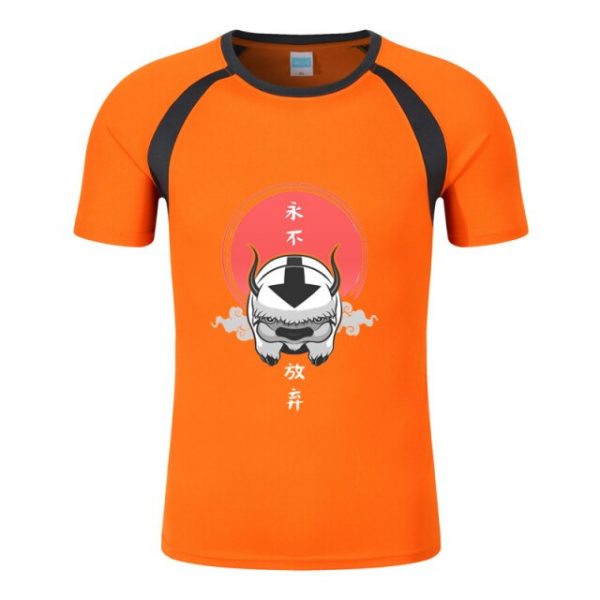 Avatar The Last Airbender Printed Men New Summer Fashion Solid Color Block Round Neck Short Raglan 4.jpg 640x640 4 - Avatar The Last Airbender Merch