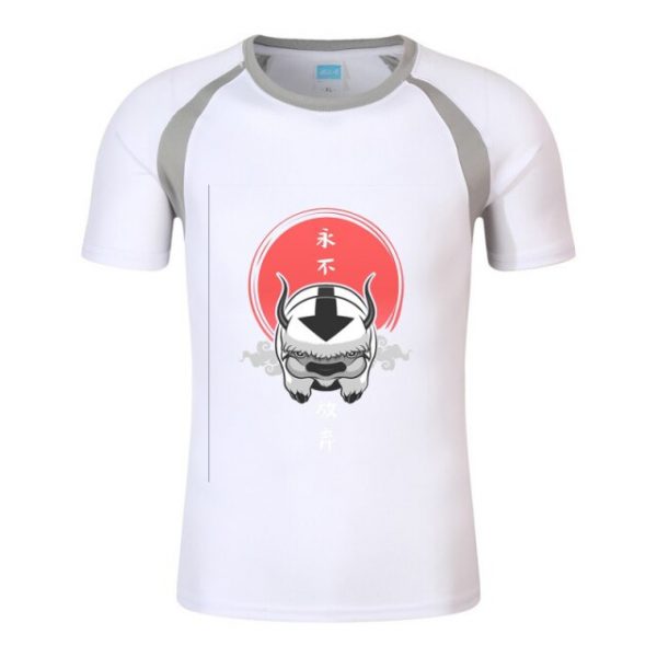 Avatar The Last Airbender Printed Men New Summer Fashion Solid Color Block Round Neck Short Raglan 6.jpg 640x640 6 - Avatar The Last Airbender Merch